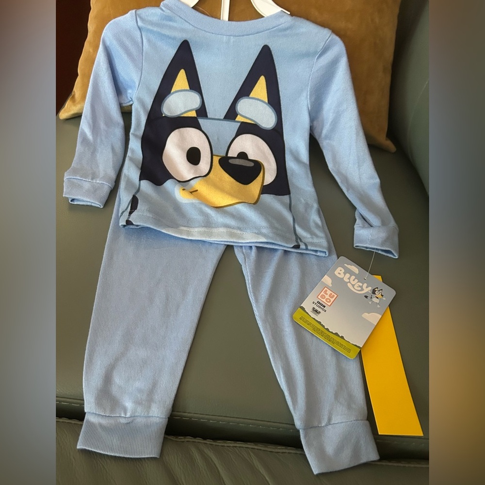 Bluey Kids Pajama Set Size 2T Top & Jogger Style Pants